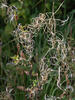  B004980croofm